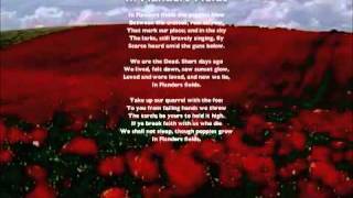 In Flanders Fields Song New Melody [upl. by Natty]