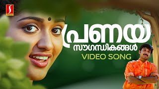 Pranaya Sougandhikangal Video Song  Darling Darling  Kavya Madhavan  Vineeth  KS Chithra [upl. by Liew]