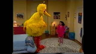 Sesame Street  Big Bird Sleeps Over at Gabis [upl. by Ednutey]