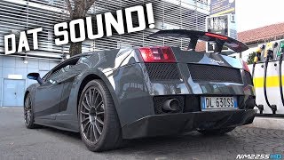 BEST Sounding V10 Lamborghini EVER Made  2008 Lamborghini Gallardo Superleggera [upl. by Adiell761]