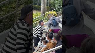 She catches him 😂 Tom the mime SeaWorld seaworldmime funny viralvideo fun funnyvideo comedy [upl. by Adnwahsat441]