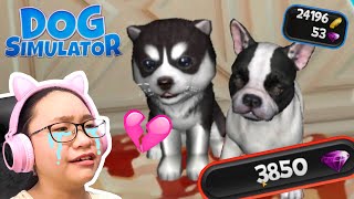 Dog Simulator  Theyre SOOO CUTE and EXPENSIVE [upl. by Nary]