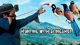 Slingshot Hunting The Most Insane Method of Taking Wild Birds [upl. by Ruhtracam323]