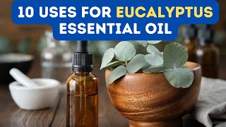 10 BENEFITS OF EUCALYPTUS ESSENTIAL OIL [upl. by Hgielra]