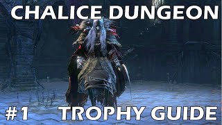 Bloodborne Chalice Dungeon Trophy Walkthrough  Part 1  Pthumeru and Central Pthumeru Chalice [upl. by Anail]