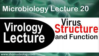 Virology lecture 1  Virus structure and classification [upl. by Lissa]