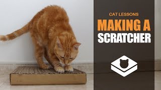 How to Make a Cat Scratcher [upl. by Anoyet]