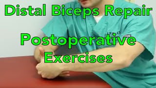 Distal biceps Tendon Repair Initial Postoperative Stretching Exercises [upl. by Layol]