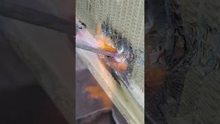 Radiator tube weldingyoutubeviralvideo viralshorts youtubeshorts radiator carradiatorshorts [upl. by Adnawyek49]