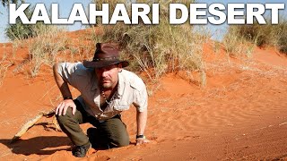 Survivorman Kalahari Desert  Namibia  Les Stroud  GLITCHES FIXED [upl. by Elleneg245]