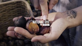 HOW TO NATURAL DYE AT HOME WITH AVOCADO  BOTANICAL COLOUR  SHADES OF PINK [upl. by Wandis163]