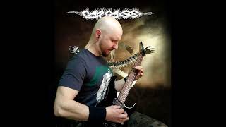 CARCASS  Heartwork guitar cover [upl. by Emyaj349]