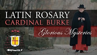 Pray the Rosary in Latin with Cardinal Burke Glorious Mysteries [upl. by Fields]