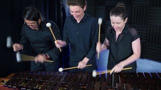 William Tell MARIMBA TRIO ft Rob Oetomo [upl. by Bohner]