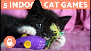 5 GAMES to ENTERTAIN Your CAT at HOME 🐱 [upl. by Sommer]