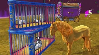 Crazy Circus  Craziest Ever Star Stable Online Horse Video Game Lets Play [upl. by Mehalek]