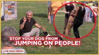 How To Stop Your Dog from Jumping on People  Dog Nation [upl. by Retsel635]