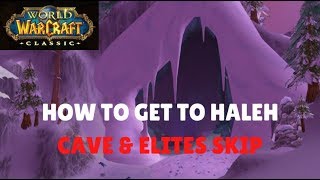 WoW Classic  How To Get To Haleh In Winterspring  Cave amp Elites Skip With 60 Mount [upl. by Nylram700]