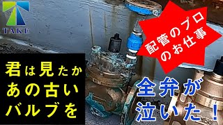 【配管のプロのお仕事】FMバルブ交換 [upl. by Namaj877]