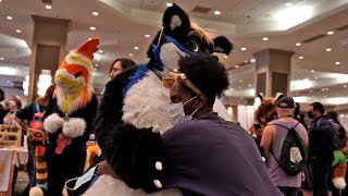 Trolling Furries at Furry Con [upl. by Ahsratan]