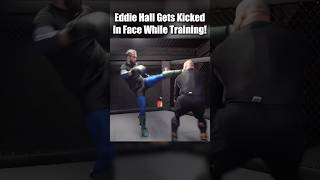 Eddie Hall Gets Kicked In Face While Training mma [upl. by Ahselaf]