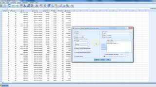 Grouping Data in SPSS [upl. by Ferwerda650]