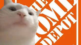 Cat Vibing to the Home Depot Theme Song [upl. by Acile]