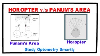 Horopter Vs Panums Fusional Area [upl. by Anawat]