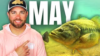 Catch BIG BASS in MAY [upl. by Frasco]