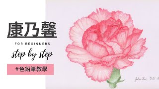 康乃馨 ｜色鉛筆教學｜從打稿開始 [upl. by Esinahs]