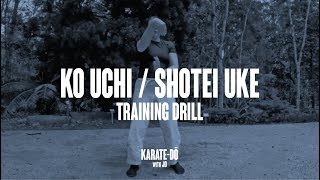 Ko Uchi amp Shotei Uke Flowing Hand Drill for Karate Basics [upl. by Silra]