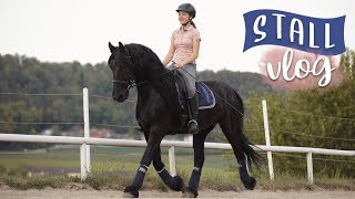 Stallvlog mit Nici  Dressur reiten  VLOG 38  Pilsali [upl. by Alyks950]