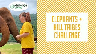 Discover Thailand on the Elephants and Hill Tribes Challenge [upl. by Alo]