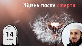 Описание ада 14я часть Жизнь после смерти  Билял Асад rus sub [upl. by Eerpud940]