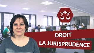 La jurisprudence  Droit  digiSchool [upl. by Aynuat]