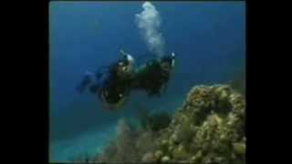 Buceo CursoCapitulo 1 [upl. by Ozkum221]