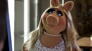 Miss Piggy Arrives to YouTube Space LA  The Muppets [upl. by Haiacim]