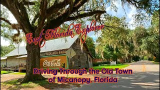 Driving Through the Old Town of Micanopy Florida [upl. by Arev]