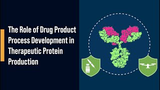 The Role of Drug Product Process Development in Therapeutic Protein Production [upl. by Aidnac30]