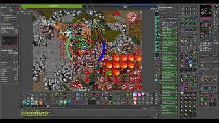 Tibia War Quintera Lheito Billonarie 817 RP Rosh Stack [upl. by Anitnauq]