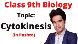 Cytokinesis  Class 9 biology in pashto  Home of biology [upl. by Dane762]