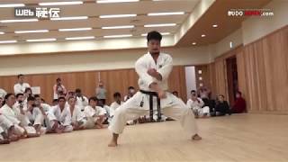 BUDOJAPANcom Breathtaking performance quotKanku Daiquot  Japan Karate Shoto Federation [upl. by Urbannai]