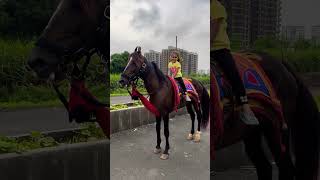 Dhruhi Horse 🐎 Riding  horse horses ghoda horseriding horselover ytvideo shortsfeed dhruhi [upl. by Assirak]