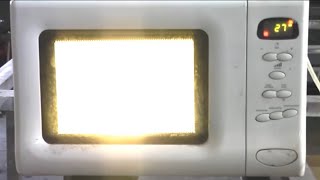 What happens when we put a light bulb or energysaving fluorescent lamp in the microwave microwave [upl. by Tserrof]