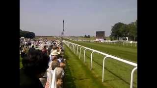 Horse Racing Today  Newmarket Races Winner [upl. by Vassily]