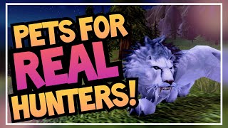 RAREST Obtainable Hunter Pets  Unique Pet Guide Ep 2  World of Warcraft BFA amp Shadowlands [upl. by Malliw]