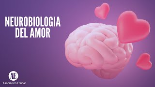 NEUROBIOLOGÍA DEL AMOR  LO QUE TENES QUE SABER [upl. by Nednarb]