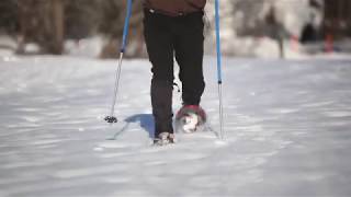 HowtoSnowshoe Learn the basics from the experts  LLBean [upl. by Christen725]