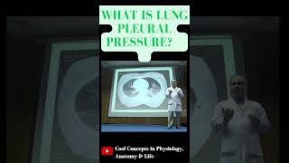 What is Pleural Pressure in lungs 1styearmbbslectures shorts youtubeshorts youtube ytshorts [upl. by Noral788]