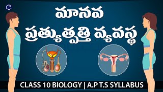 ప్రత్యుత్పత్తి వ్యవస్థ Pratyutpatti Reproduction in telugu  10th science  biology 10th in telugu [upl. by Anippesuig]